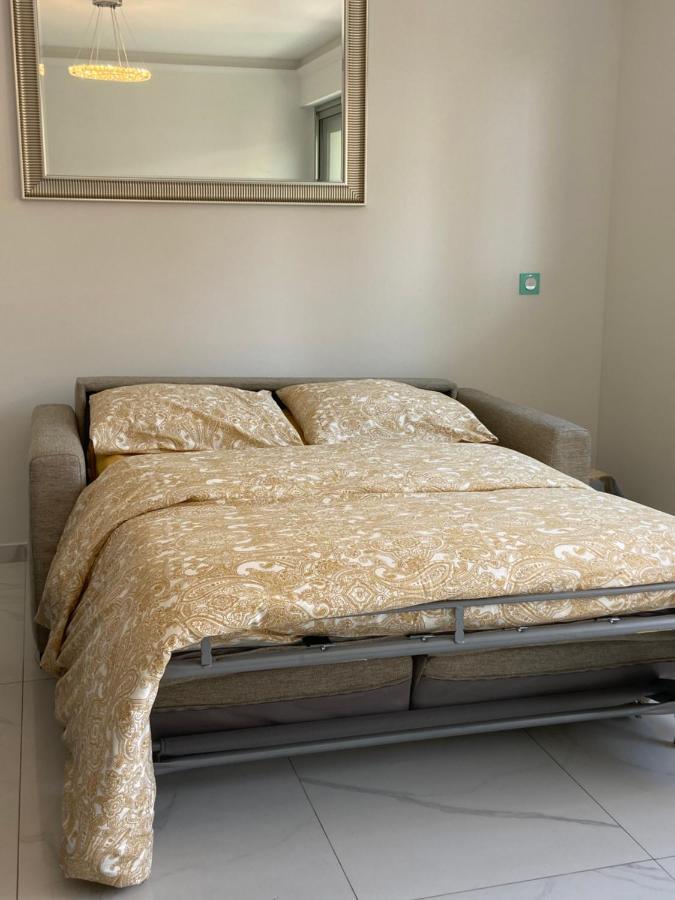Le Royal, Spacious Seaside Apartment Rooftop And Pool Nizza Exterior foto