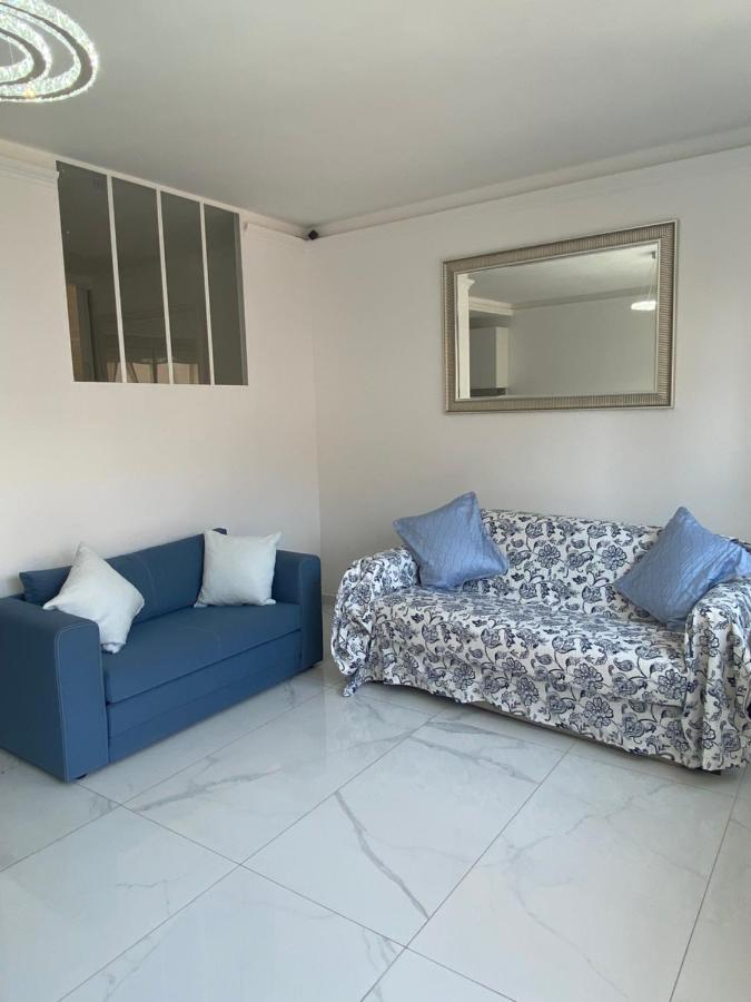 Le Royal, Spacious Seaside Apartment Rooftop And Pool Nizza Exterior foto